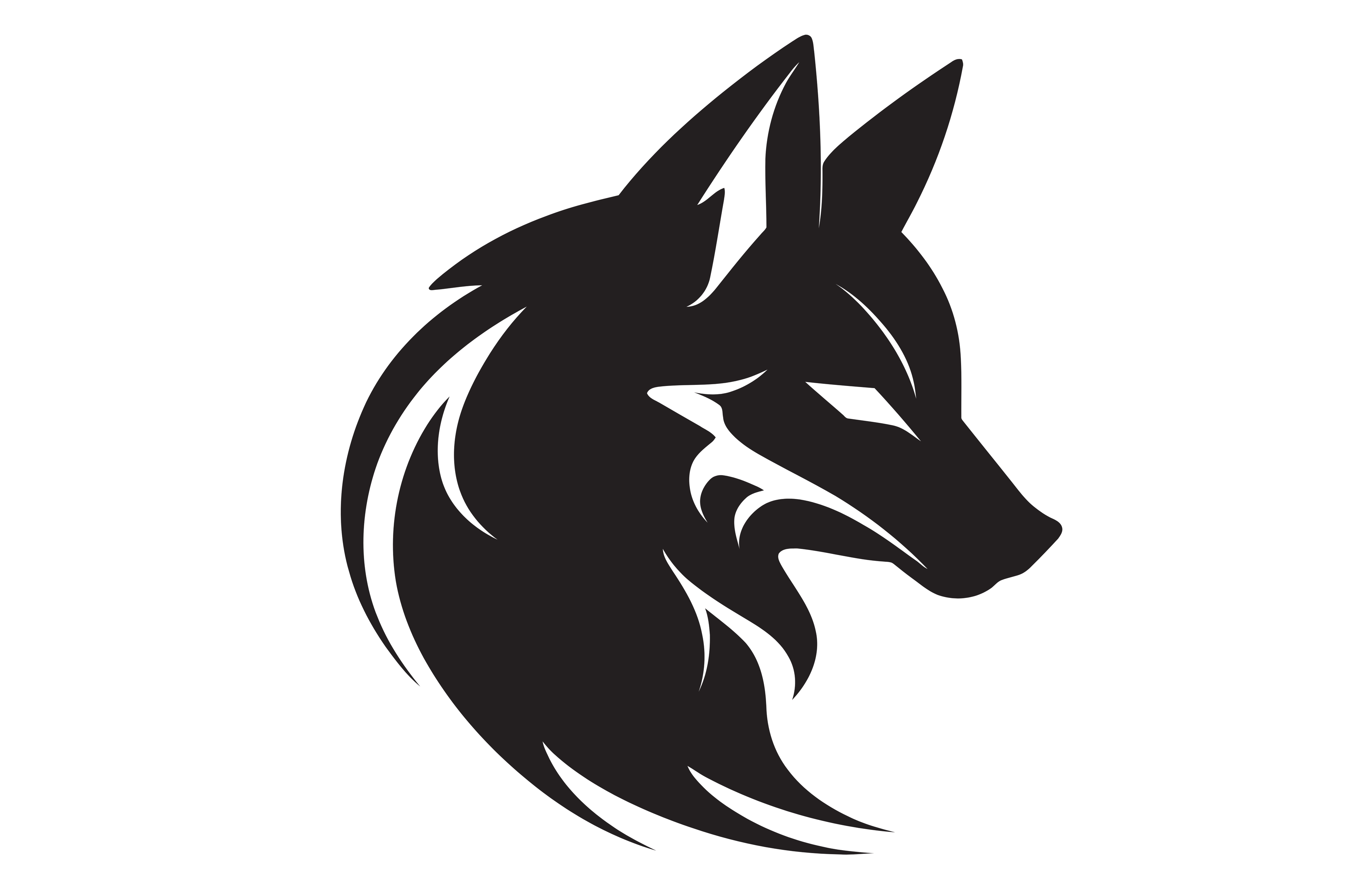 The Arena of Broken Dreams: An Essential Supply List