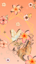 Sunkissed Peach Duo 2pk Phone Backgrounds