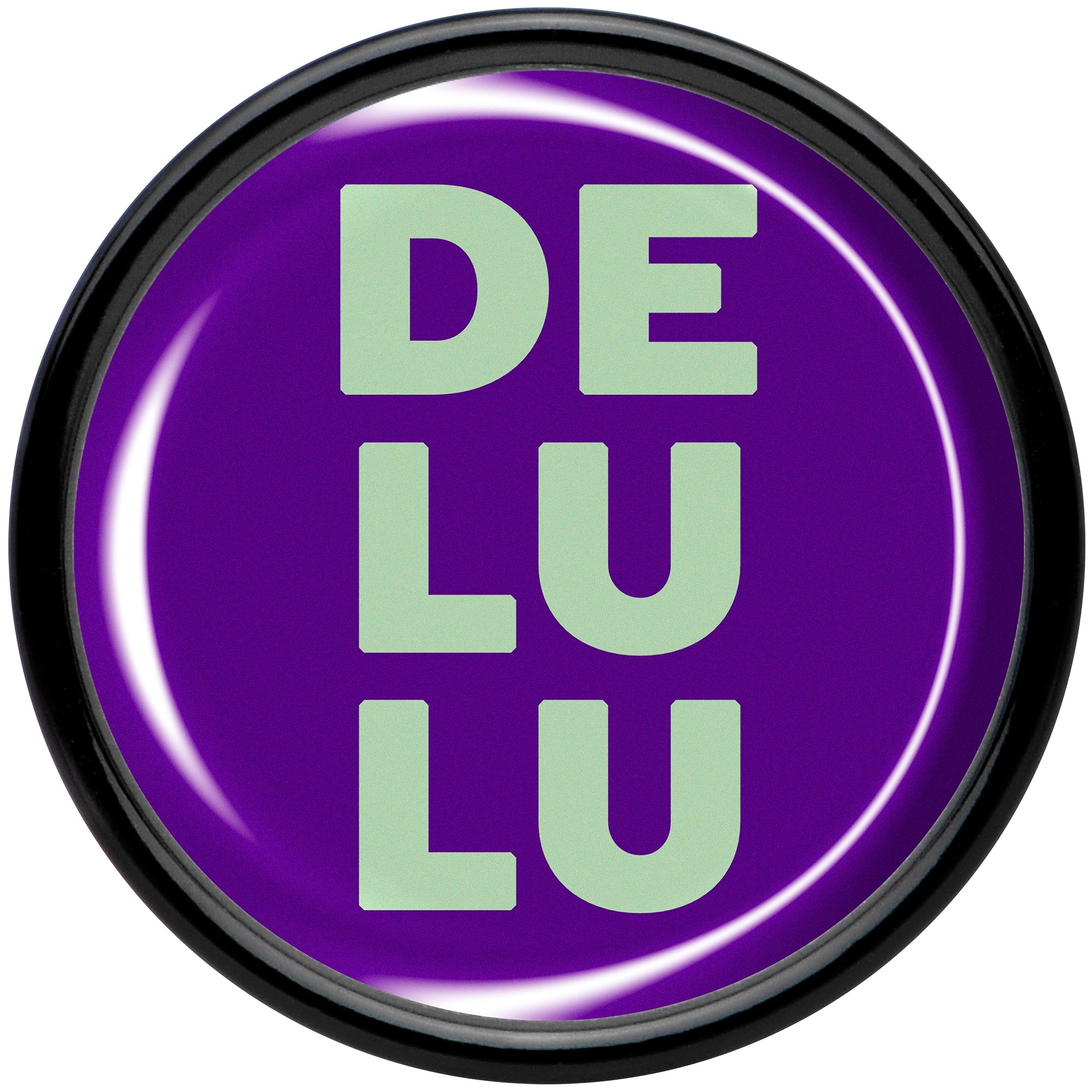 Word DELULU Black Acrylic Saddle Plug Set by Onyx O